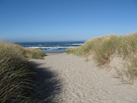 oregon beach